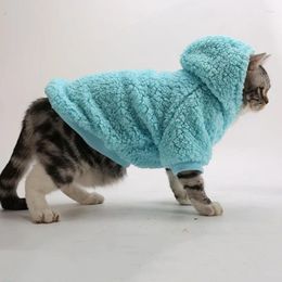 Vêtements pour chiens automne veste hivernale à capuche moteur de vêtements chauds pour les petits chiens chats chihuahua pug