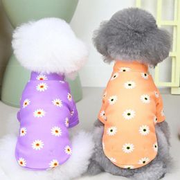 Vêtements pour chiens automne t-shirt t-shirt pyjamas chat chiot chemise poméranie yorkshire terriers shih tzu powle bichon vestiment