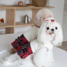 Vêtements pour chiens automne / hiver jupe à carreaux pour animaux de compagnie robe mignonne Teddy Bichons vêtements pour chiots maltais pour petits chiens
