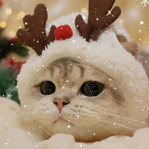 Ropa para perros Otoño Invierno Cálido Gato Pequeño Disfraz de Navidad Capa Santa Reno Cosplay Divertido Mascota Cabo Vestir Ropa Accesorios Decoración