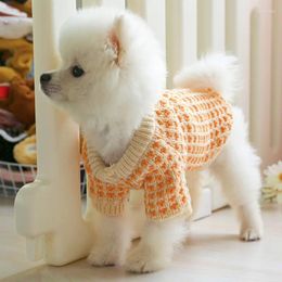 Vêtements pour chiens Automne Hiver Chaud Pull doux pour petits chats Chiots Bichon Yorkie Confortable Col haut Orange Plaid Tricot