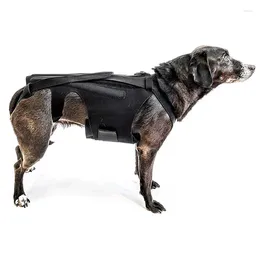 Attelle dorsale pour chiens, vêtements pour chiens, arthrite, protection pour animaux de compagnie, IVDD, aide à soulager la douleur, à la récupération et à la réadaptation