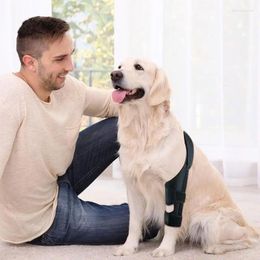 Appareils pour chien Back Drace Knee Adoptable Pet Support arrière Jois arrière Protecteur Dogis