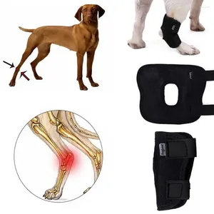 Ropa de perro venda artritis protector cubierta para alivio de la pierna soporte de piernas de la pierna recuperación de la lesión de perros cornasas de rodilla de la articulación
