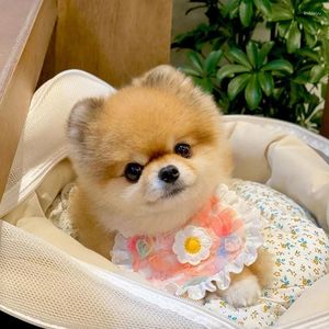 Vêtements pour chiens Bandana Écharpe Plaid Bavoirs Coton Lavable Chat Mignon Petit Bichon Teddy Hiromi Décor De Noël Bavoir Vente De Liquidation