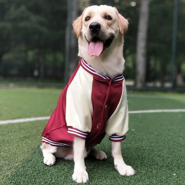 Vêtements pour chiens Uniforme de baseball Vêtements pour animaux de compagnie Moyen et grand chien Golden Retriever Labrador Vêtements Automne Hiver épais 231120