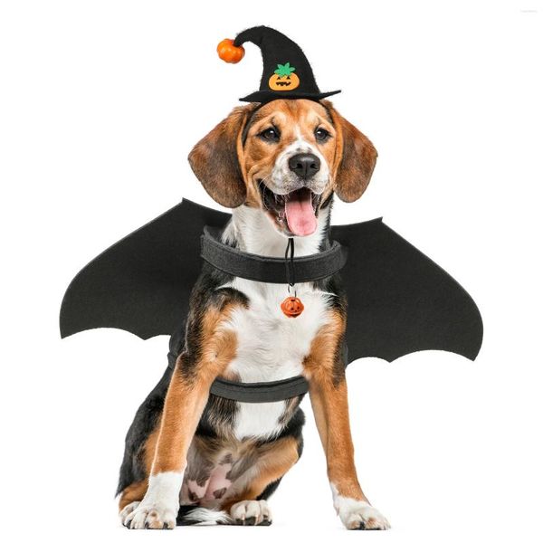 Appareils de chien Suit Bat Wings Pet Cosplay Halloween Costume Supplies Hat Hat Party décorations