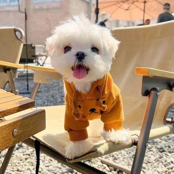 Vêtements pour chiens ours à sweat à capuche Brown kawaii cosplay petit vêtements chat doux confortable costume d'hiver épais produits pour animaux de compagnie