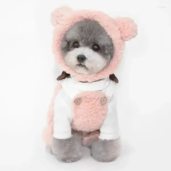 Vêtements de chien ours animal de compagnie avec pull tenues chapeau vêtements barboteuses hiver chiot chat porter mignon carlins chaud pour vêtements chaton