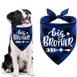 Vêtements pour chiens Big Brother Plaid Bandana Annonce de grossesse Sexe Révéler Po Prop Foulard pour animaux de compagnie Accessoires Foulards