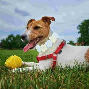 Vêtements pour chiens Grand collier Fleurs Colliers de cou de chat Tissage Décor pour animaux de compagnie Supple Party Hairball Pom Dogs