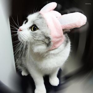 Appareils pour chiens Big Ear Pet Cat Cat Cap Cap Halloween Costume Tenues Hat Headwear chaton Hair Thering Accessoires décoration