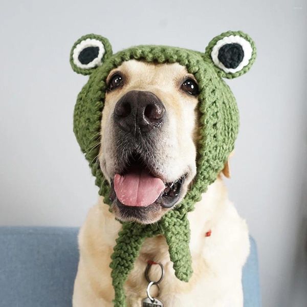 Ropa para perros Sombrero de lana tejido a mano grande Gorro de rana divertido Golden Retriever Accesorios para mascotas