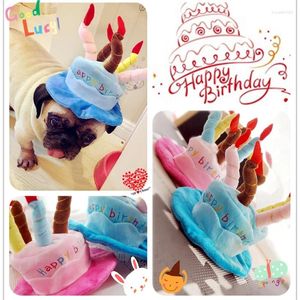 Jugues de cumpleaños de ropa para perros para perros Pequeñas razas rosas azules lindos lindo cachorros animales mascotas accesorios de preparación gatos chihuahua