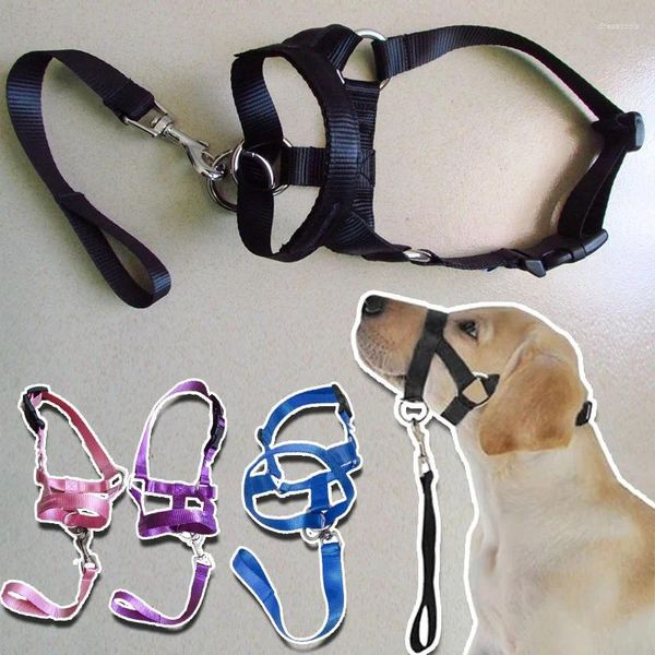 Appareils pour chiens Muzzle étanche à la bouche réglable Corde bouche accessoires durables