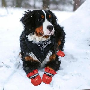 Vêtements pour chiens Bottillons Bottes imperméables Chaussures antidérapantes Doublure en polaire Protecteurs de pattes en plein air pour toutes les tailles de chiens 4 pièces