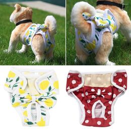 Vêtements pour chiens Bowtie Pantalon physiologique féminin Couches d'été Vêtements menstruels Princesse douce respirante culotte pour animaux de compagnie