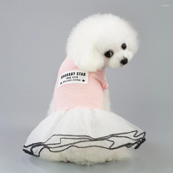 Marca de ropa para perros 2024 ropa de falda primavera verano lindo gato algodón mascota encaje princesa abrigo