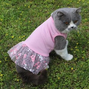Appareils pour chiens Mesh Breatch Cat Cat Robe Robe Sans manches Cakes Skins pour petits chiens moyens chaton Blue Rose Printemps Summer
