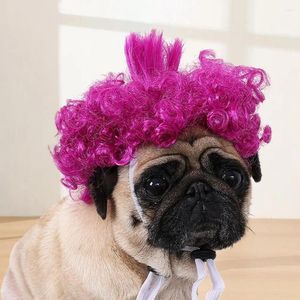 Vêtements de chien respirant perruque d'animal de compagnie cheveux bouclés chat pour Halloween fêtes de Noël coiffure drôle avec bande réglable cosplay