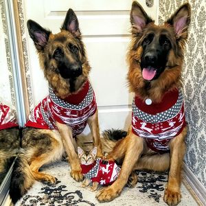 Vêtements pour chiens British Knitting Pet Dog Pull pour chiens de taille moyenne de Noël Elk Big Dog Vêtements Labrador Pitbull Pulls Mascota Vêtements 231109