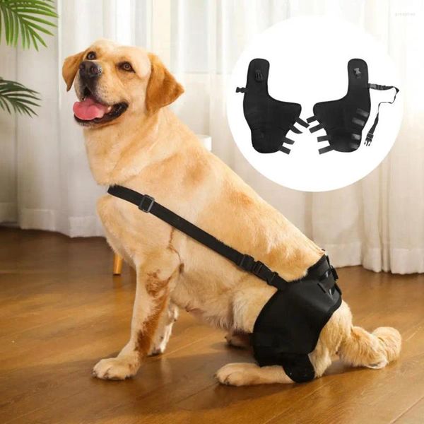 Boucle de vêtements pour chiens Fixation Assistance aux animaux