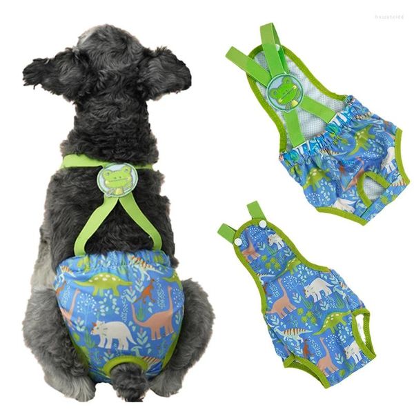 Vêtements de chien Cartoon Femme Shorts Sous-vêtements Pantalons physiologiques pour animaux de compagnie Couches pour petites filles Chiens Chiot Schnauzer Mascotas Culottes