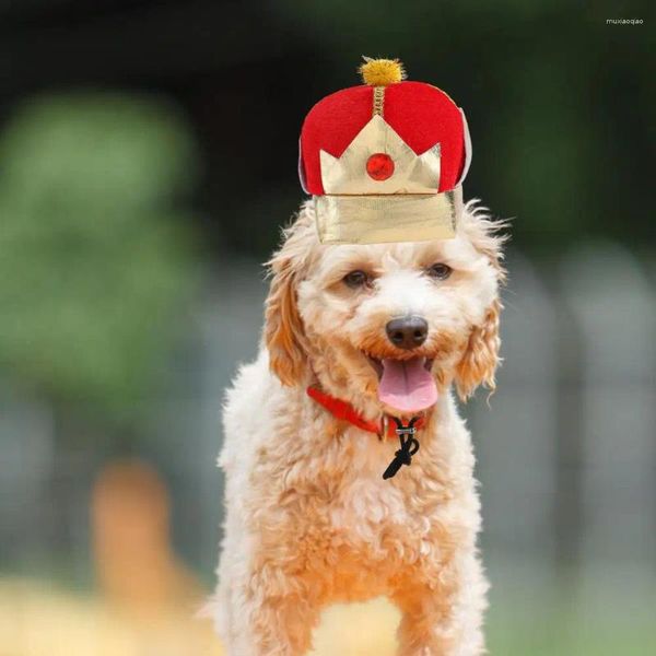 Ropa para perros Dibujos animados Rey Forma Sombrero para mascotas Adorable Corona para perros Tamaño ajustable Soft Headwear Suministros de cosplay