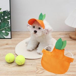 Hondenkleding Cartoon Zonneschade Wasbare hoed Pet Baseball Cap Dogs Outdoor voor kleine middelgrote kat verstelbaar met oorgat