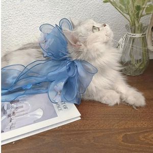 Hondenkleding Cat Bow Tie Love Style Pet Supplies Valentine's Day Bowtie verzorging accessoires