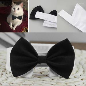 Ropa para perros gato pail cornete mascota accesorios de accesorios corbata para perros pequeños guarda bandana 1pc
