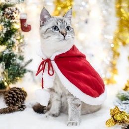 Vêtements de chien chat vêtements de Noël vêtements de compagnie de compagnie du Père Noël