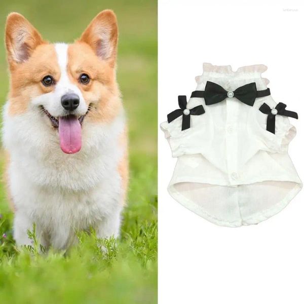 Vêtements pour chiens Vêtements pour chats Chemise à fermeture à boutons T-shirt en dentelle douce pour chiot