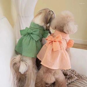 Vêtements de chien vêtements de chat femelle animaux de compagnie été gilet à manches florales jupe courte ours en peluche chiot mignon