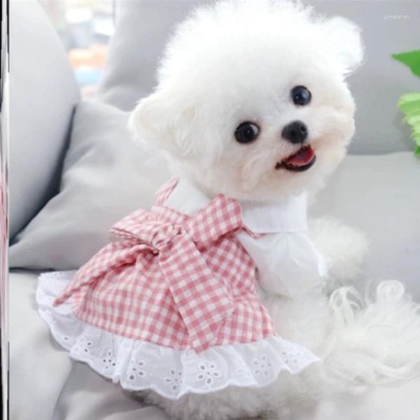 Vêtements de chien vêtements de chat tenue de femme de ménage dentelle florale rose robe mignonne anti-perte épilation