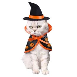 Costumes de chat pour chiens costumes cosplay pour chatons à vêtements Cloak Shape Bat Modèle pour ajouter l'atmosphère d'Halloween Cats lapin Doggy H240506