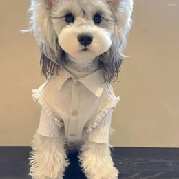 Veste de chien pour chien Cat Jacket Fashion White Coat Vest Faire pour animal de compagnie Puppy Taddy Schnauzer Spring Automne Vêtements