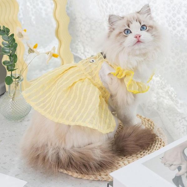 Chien vêtements chat robe col rond Adorable doux animal de compagnie deux pattes princesse collier mascottes fournitures accessoires