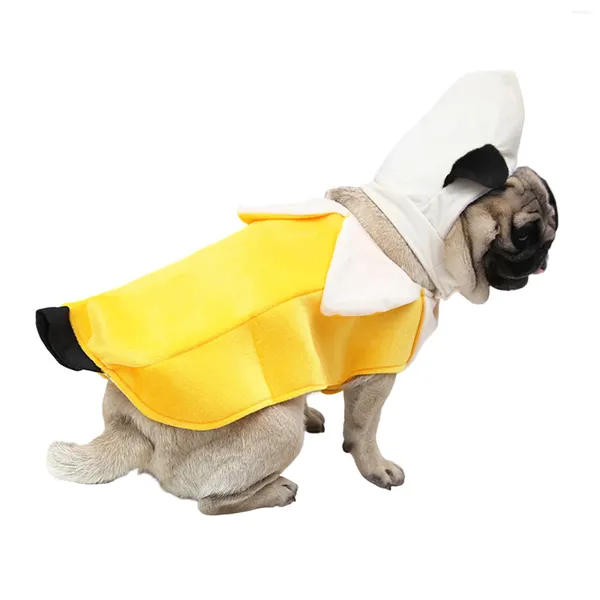 Vêtements de chien chat drôle Halloween costumes mignon tenue de costume pour chiens petits et moyens chiens