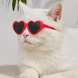 Hondenkleding kattenglazen Cool Pet Small Fashion Round Product voor kleine zonnebrillen Pography -accessoires