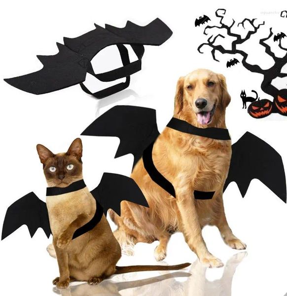 Vêtements pour chiens et chats Halloween, vêtements pour animaux de compagnie, ailes de chauve-souris noires