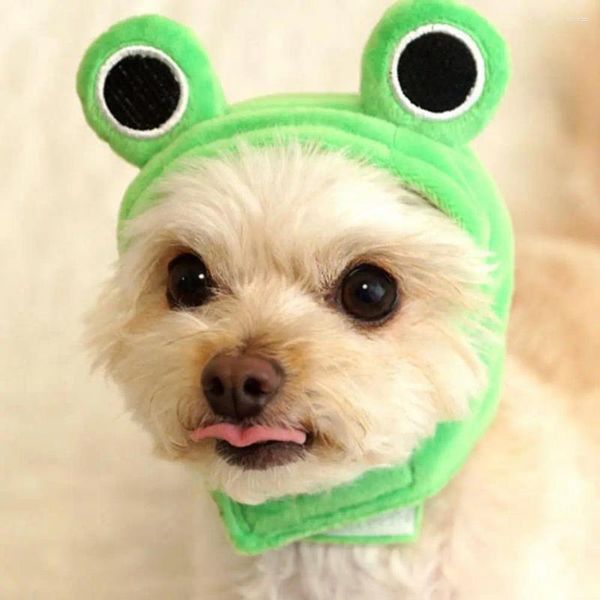 Vêtements de chien chapeau de chat animal de compagnie en peluche grenouille couvre-chef bande de fixation accessoire de mode pour les fêtes Cosplay nouveauté dessin animé Po vacances