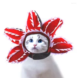 Appareils pour chien Chapeaux de chat Piranha Shape Head Hood Costume Costume Accessoire Funny Tentifit Mignon Vêtements pour chaton