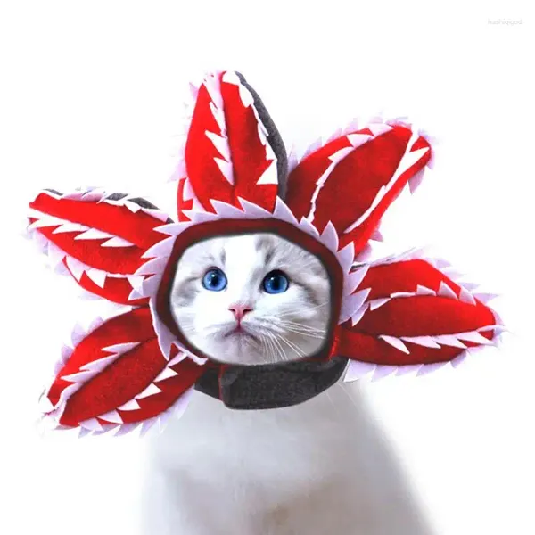 Appareils pour chien Chapeaux de chat Piranha Shape Head Hood Costume Costume Accessoire Funny Tentifit Mignon Vêtements pour chaton