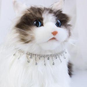 Collier de chat pour chien collier de perle chats réglables en strass po pour animaux de compagnie pour petit chaton moyen