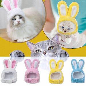 Vêtements pour chiens Chat Lapin Chapeau Pet Petite Taille Moyenne Teddy Bear Couvre-chef Fournitures Doggy Anniversaire Pug Casque