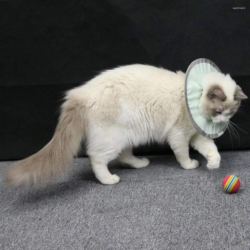 Dog Apparel Recuperação de gato colar cone de pescoço Cones Ajustável Cone Pet Lightweight Kitten After Elizabetano C