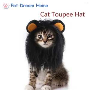 Vêtements de chien chat toupee chapeau coiffe