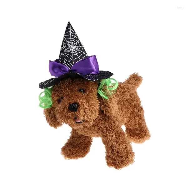 Asistente de gatos de ropa para perros Wizard para Halloween Decoration Decoration Accessors