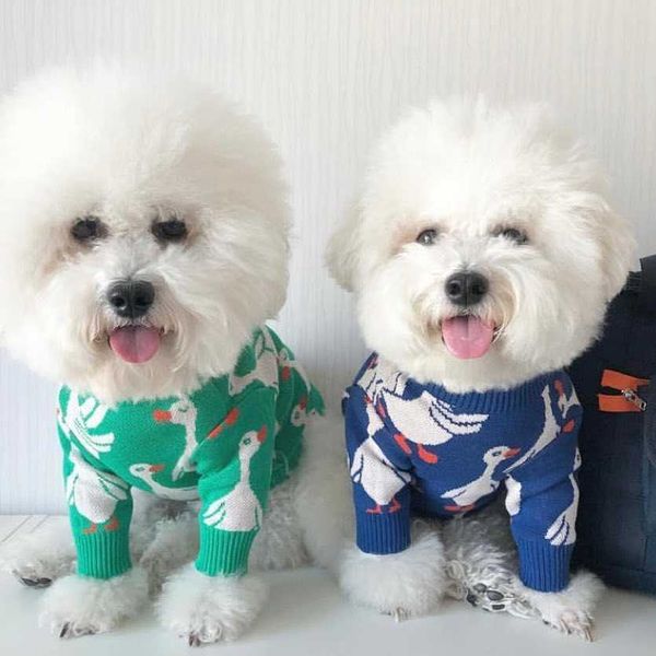 Ropa para perros Chaopai Dibujos animados Otoño Invierno Cálido Núcleo Hilado Jersey Alto Cuello Teddy Lindo Fadou Suéter para mascotas Ropa para perros